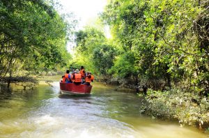 Ecotourism Paya Lebar