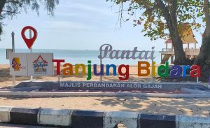 Pantai Tanjung Bidara